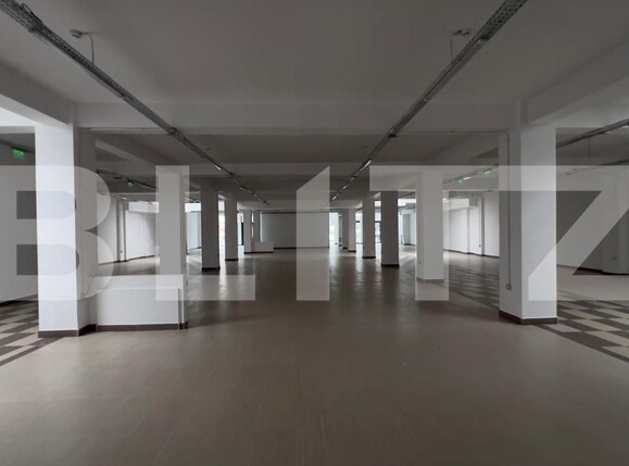 Spațiu comercial de închiriat Semicentral - 160569SIC | BLITZ Timișoara | Poza1