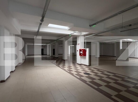 Spațiu comercial de închiriat Semicentral - 160569SIC | BLITZ Timișoara | Poza7