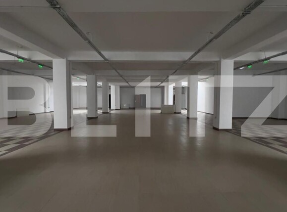 Spațiu comercial de închiriat Semicentral - 160569SIC | BLITZ Timișoara | Poza2