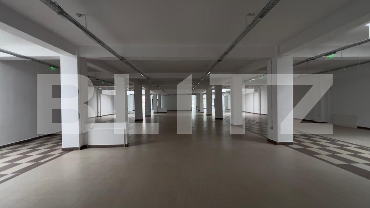 Spațiu comercial de închiriat Semicentral - 160569SIC | BLITZ Timișoara | Poza1