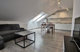 Mansarda 13 garsoniere și 2 apartamente, zona Lipovei