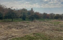 Teren intravilan 1360 mp, front 20 ml, Timisoara!