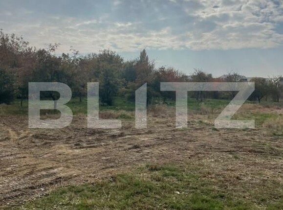 Teren de vânzare Freidorf - 160980TV | BLITZ Timișoara | Poza1