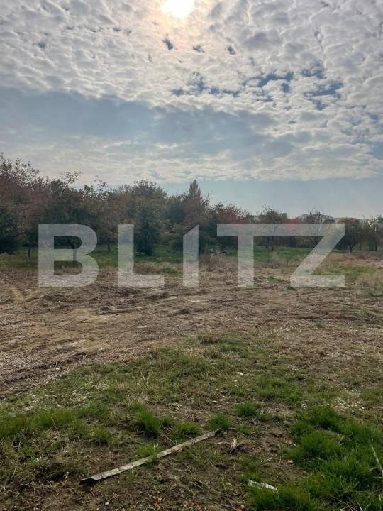 Teren de vânzare Freidorf - 160980TV | BLITZ Timișoara | Poza1