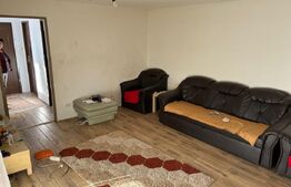 Casa Individuala, 270 mp, zona-Mehala