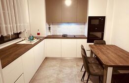 Duplex, 3 camere Calea Urseni, mobilat, utilat