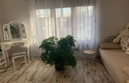 Duplex cu gradina si curte spatioasa Mosnita Noua