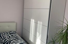 Duplex cu gradina si curte spatioasa Mosnita Noua