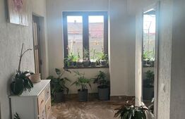 Duplex cu gradina si curte spatioasa Mosnita Noua