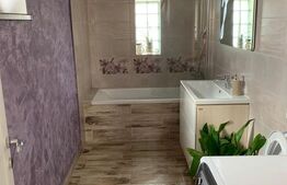 Duplex cu gradina si curte spatioasa Mosnita Noua