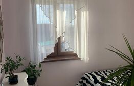 Duplex cu gradina si curte spatioasa Mosnita Noua