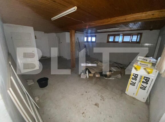 Casa de vânzare 7 camere Remetea Mare - 161153CV | BLITZ Timișoara | Poza6