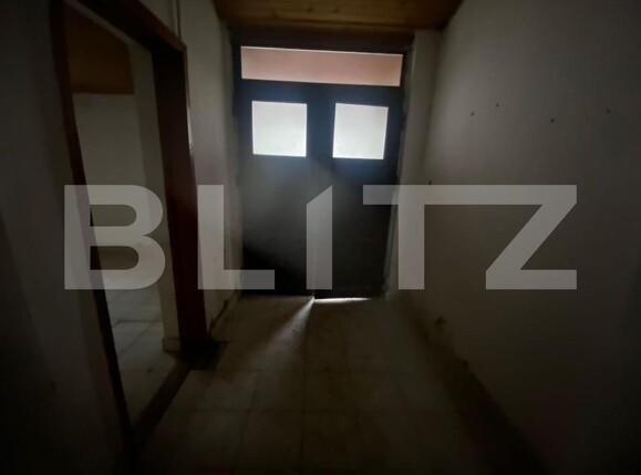 Casa de vânzare 7 camere Remetea Mare - 161153CV | BLITZ Timișoara | Poza11
