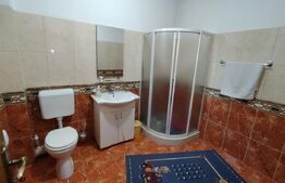Casa 5 camere, SU 249.80mp , ST 709mp, P+M, zona-Blascovici