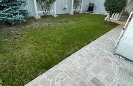 Duplex deosebit, Dumbravita!