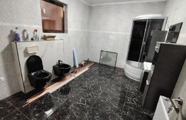 Casa LUX 4 camere SU, 183 mp , la 15 minute de Timisoara 