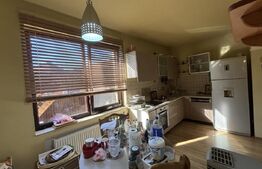 Casa individuala in Ghiroda, zona linistita