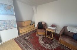 Apartament, 2 camere, mansarda, 49 mp, Calea Bogdanestilor