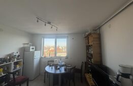 Apartament, 2 camere, mansarda, 49 mp, Calea Bogdanestilor