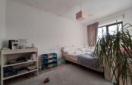 Individuala, cu spatii comerciale, gradina, vad excelent, Sacalaz!