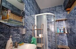 Individuala, cu spatii comerciale, gradina, vad excelent, Sacalaz!