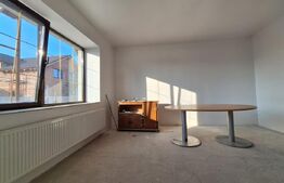 Individuala, cu spatii comerciale, gradina, vad excelent, Sacalaz!