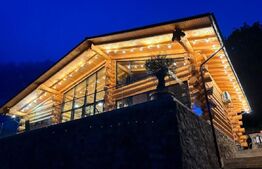 Vila de vacanta/airbnb de poveste, 240 mp, langa Dunare