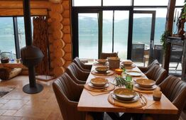 Vila de vacanta/airbnb de poveste, 240 mp, langa Dunare