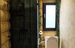 Vila de vacanta/airbnb de poveste, 240 mp, langa Dunare