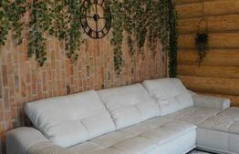 Vila de vacanta/airbnb de poveste, 240 mp, langa Dunare