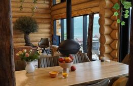 Vila de vacanta/airbnb de poveste, 240 mp, langa Dunare