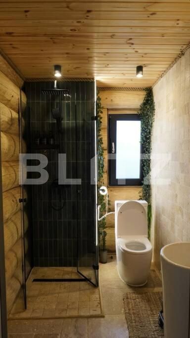 Casa de vânzare 5 camere Exterior Sud - 161551CV | BLITZ Timișoara | Poza5