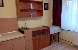 Garsoniera utilată, 16 mp, în zona Buziașului