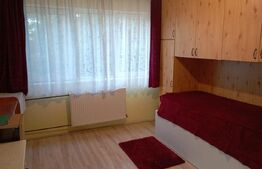 Garsoniera utilată, 16 mp, în zona Buziașului