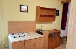 Garsoniera utilată, 16 mp, în zona Buziașului