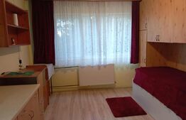 Garsoniera utilată, 16 mp, în zona Buziașului