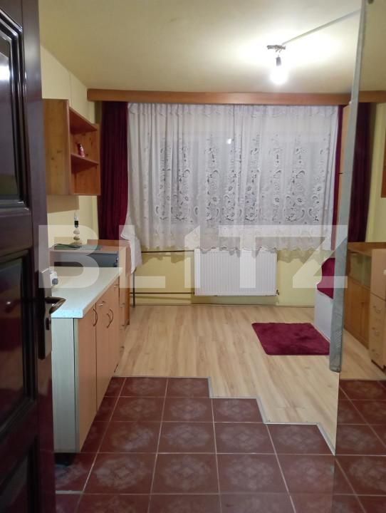 Garsonieră de vânzare Buziasului - 161582AV | BLITZ Timișoara | Poza1