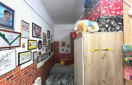 Apartament cu o camera, decomandat, cu grădină, zona Balcescu