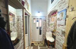 Apartament cu o camera, decomandat, cu grădină, zona Balcescu