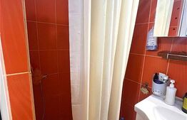 Apartament cu o camera, decomandat, cu grădină, zona Balcescu