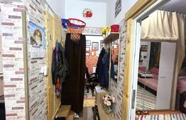 Apartament cu o camera, decomandat, cu grădină, zona Balcescu