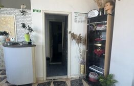 Spatiu comercial, 60 mp, Calea Bogdanestilor