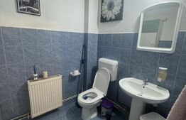 Spatiu comercial, 60 mp, Calea Bogdanestilor