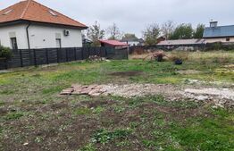 Casa individuala cu drum privat in CF, 580mp teren Sacalaz