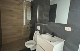 Case Individuale noi in Remetea Mare