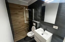 Case Individuale noi in Remetea Mare