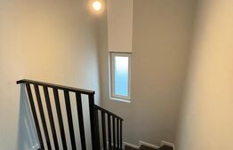 Case Individuale noi in Remetea Mare