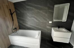 Case Individuale noi in Remetea Mare