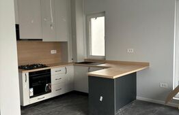 Case Individuale noi in Remetea Mare