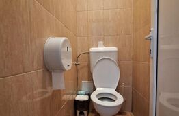 Spatiu comercial de 123 de mp, Zona LIpovei